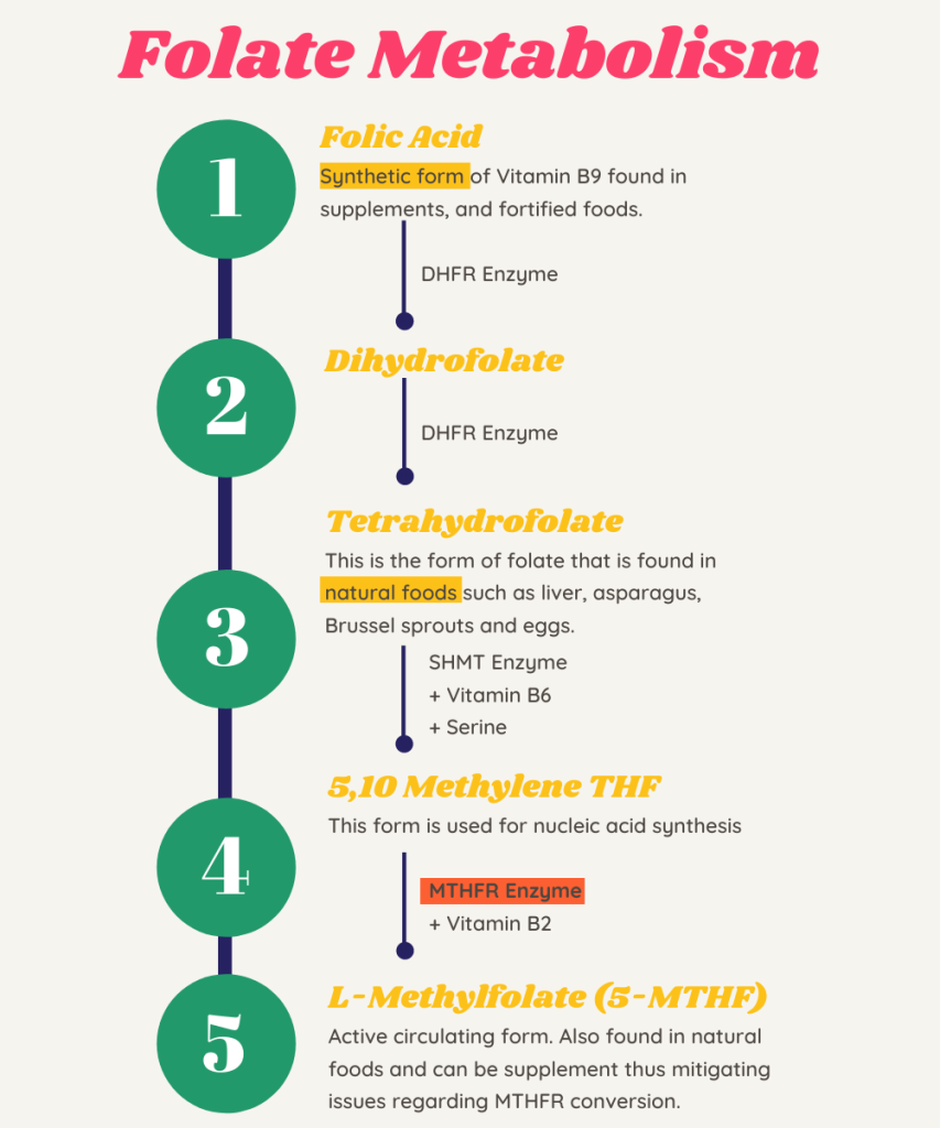 Folic Acid Vs Folate Which One To Use Benefits And Everything In