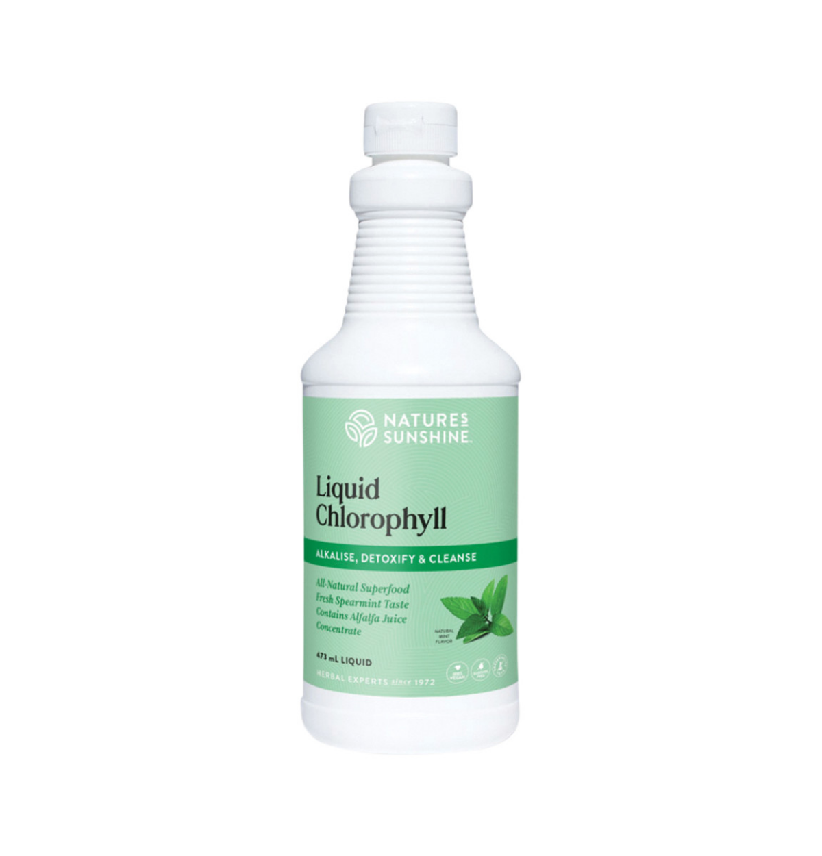 Nature's Sunshine Liquid Chlorophyll 473 ml-0