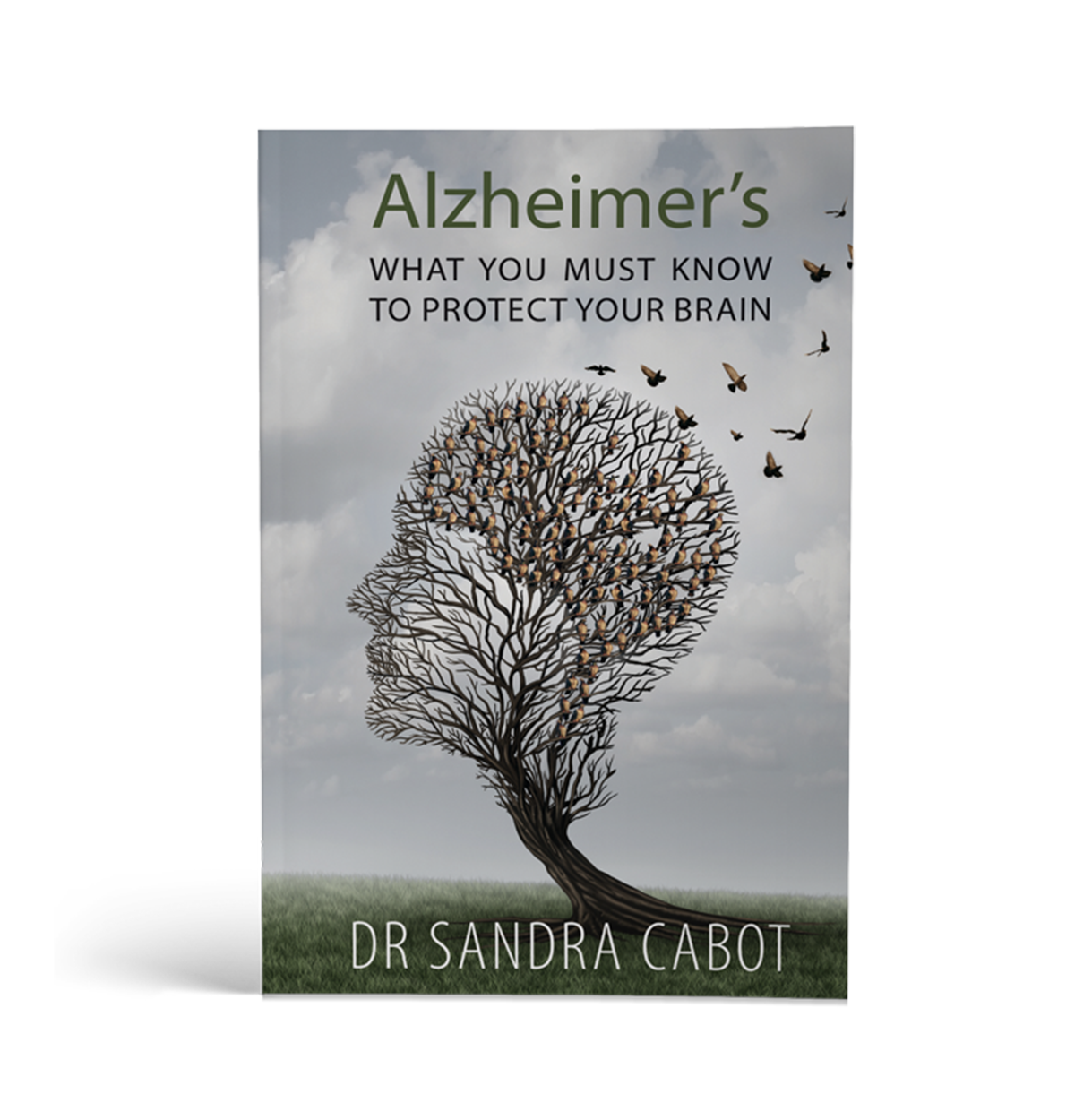 Alzheimers; What you must know to protect your brain.