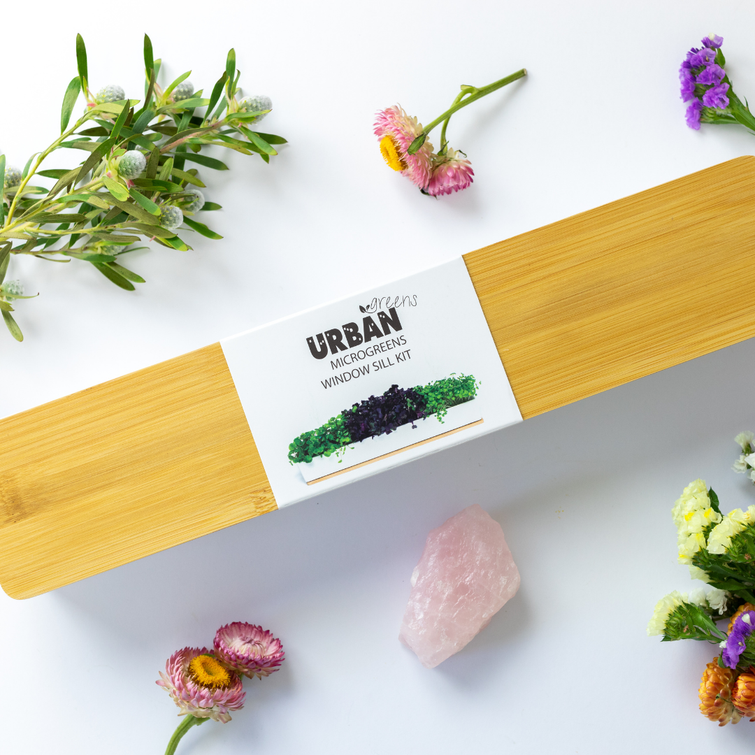 URBAN GREENS Windowsill Grow Kit Microgreens 40 x 8 x 7cm-0