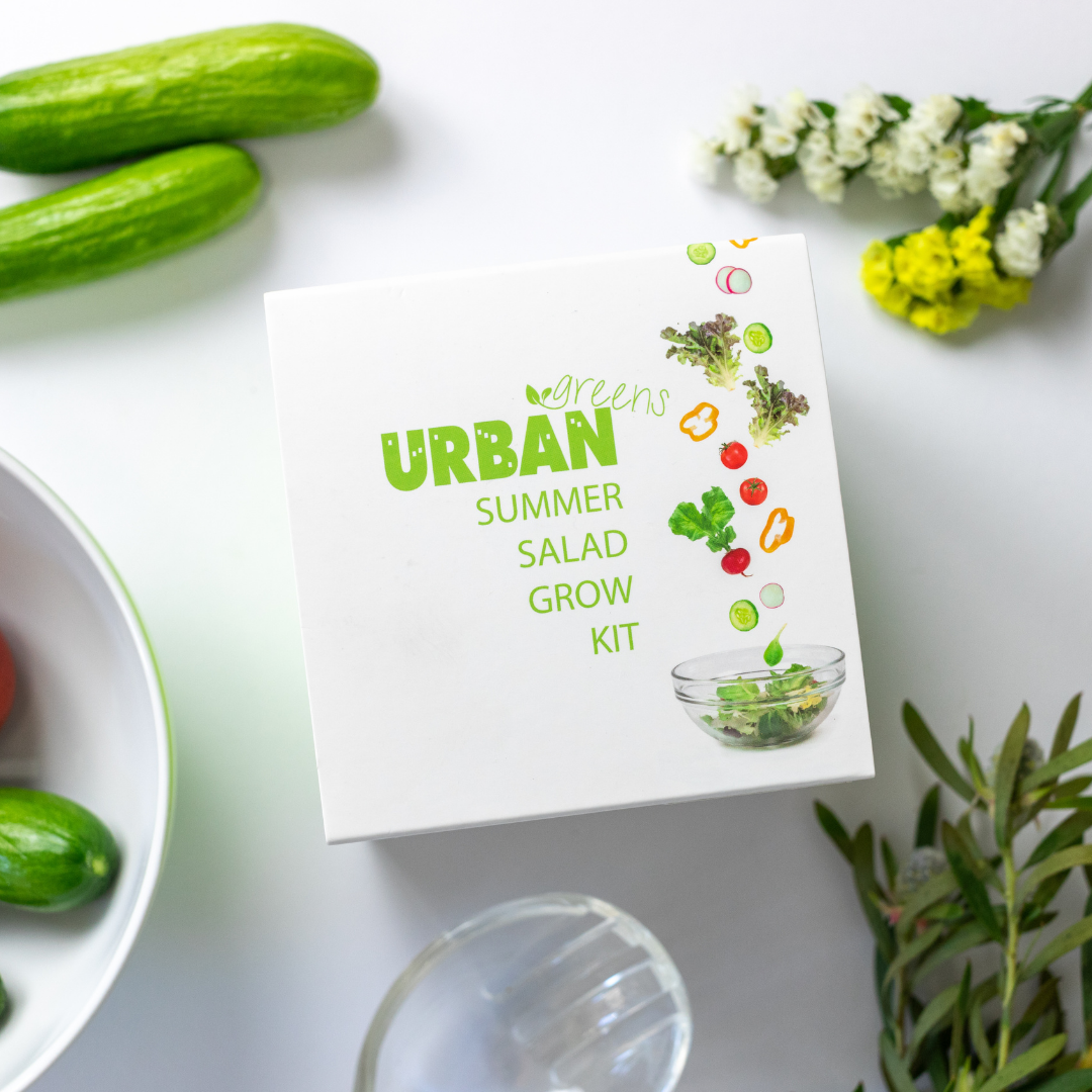 URBAN GREENS Grow Kit - Summer Salad-0