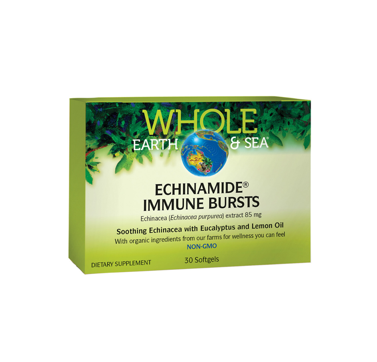 Whole Earth & Sea Echinamide Immune Burst 30c