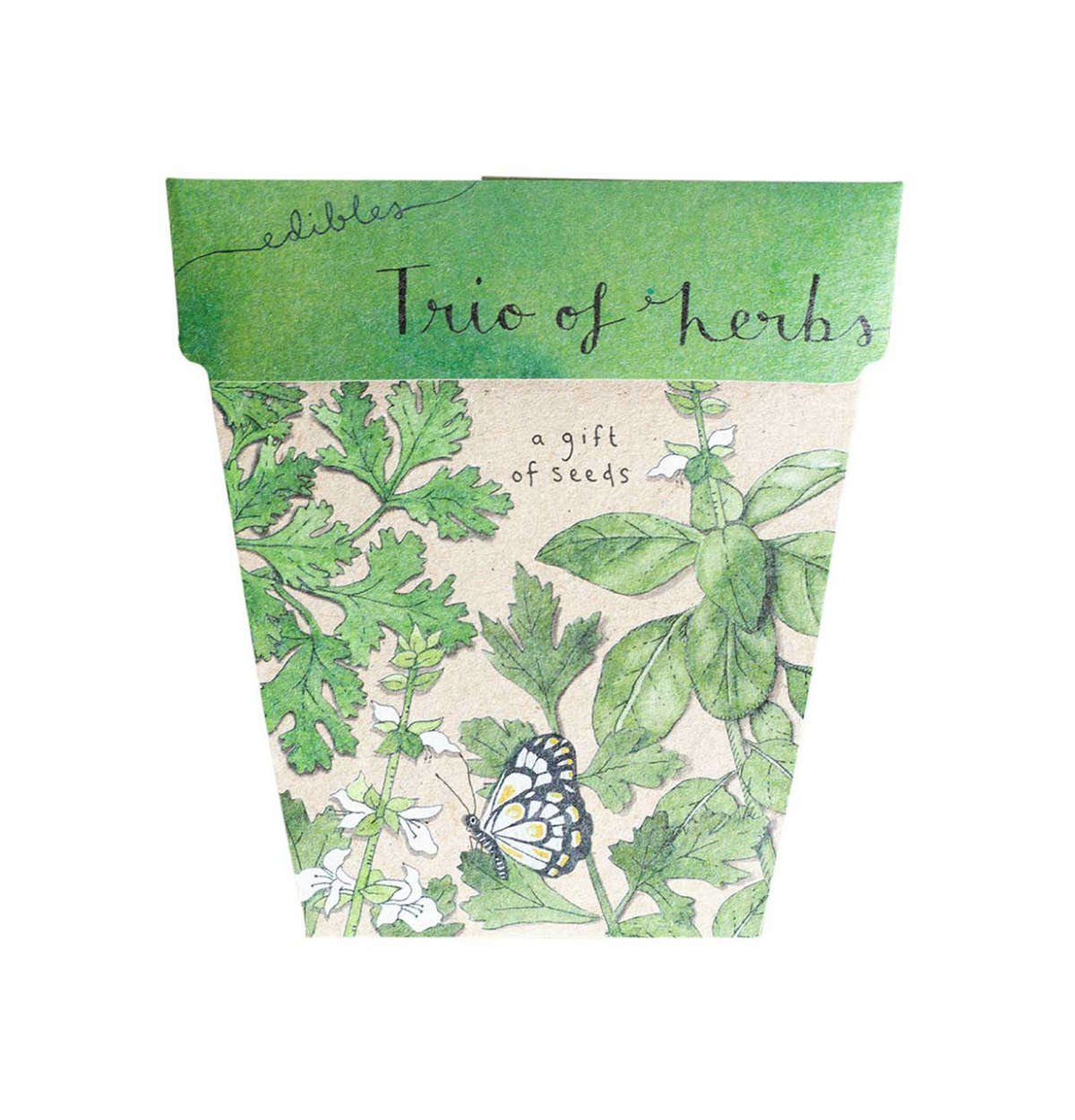 SOW 'N SOW Gift Of Seeds Trio Of Herbs