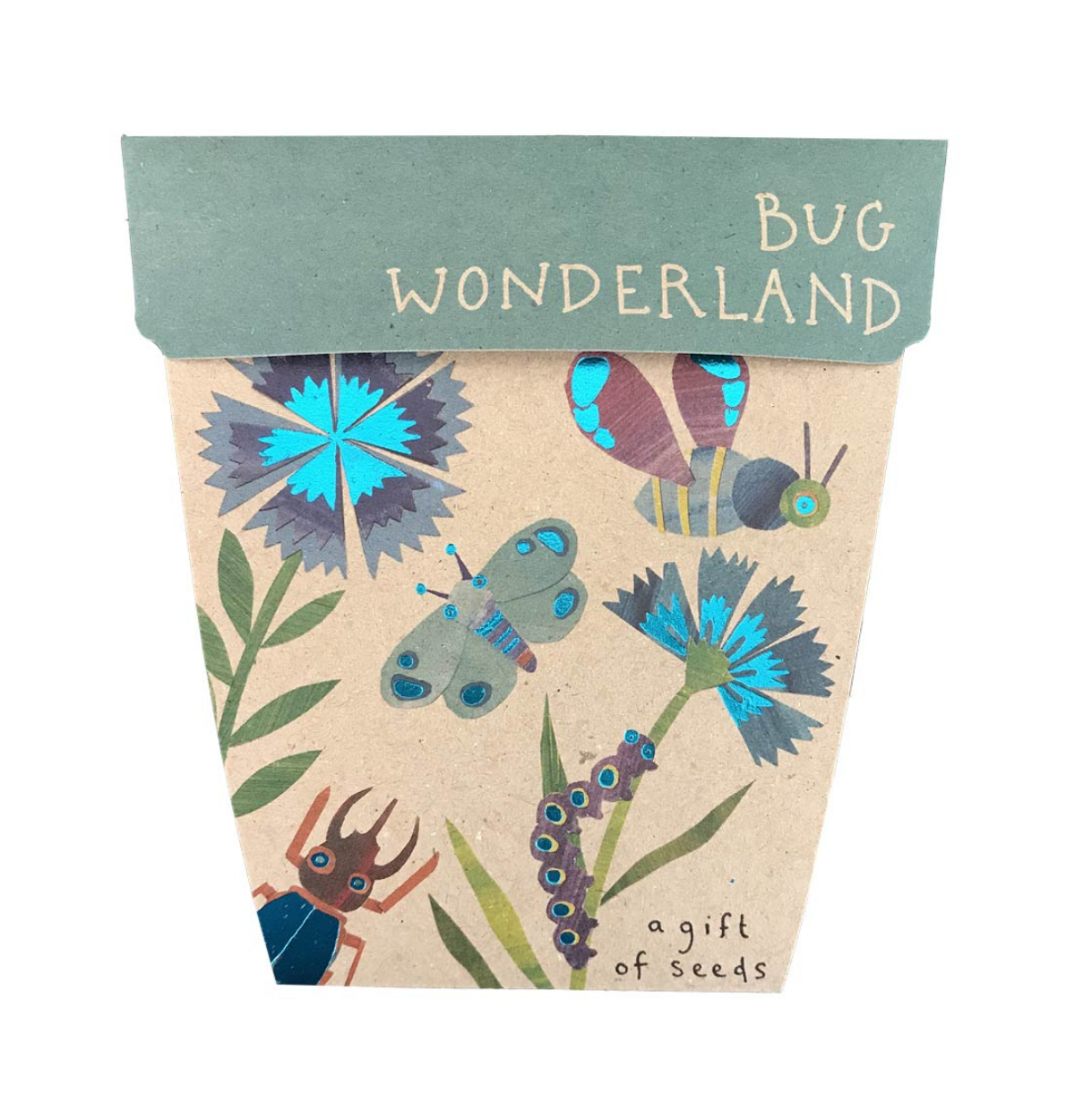 SOW 'N SOW Gift Of Seeds Bug Wonderland